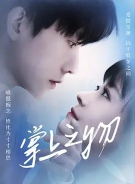 花样美男电视剧国语版
